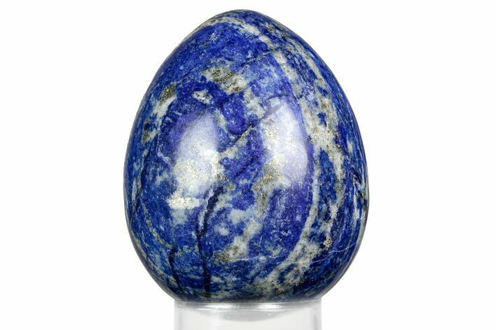 Polished Lapis Lazuli Egg - Pakistan #352559